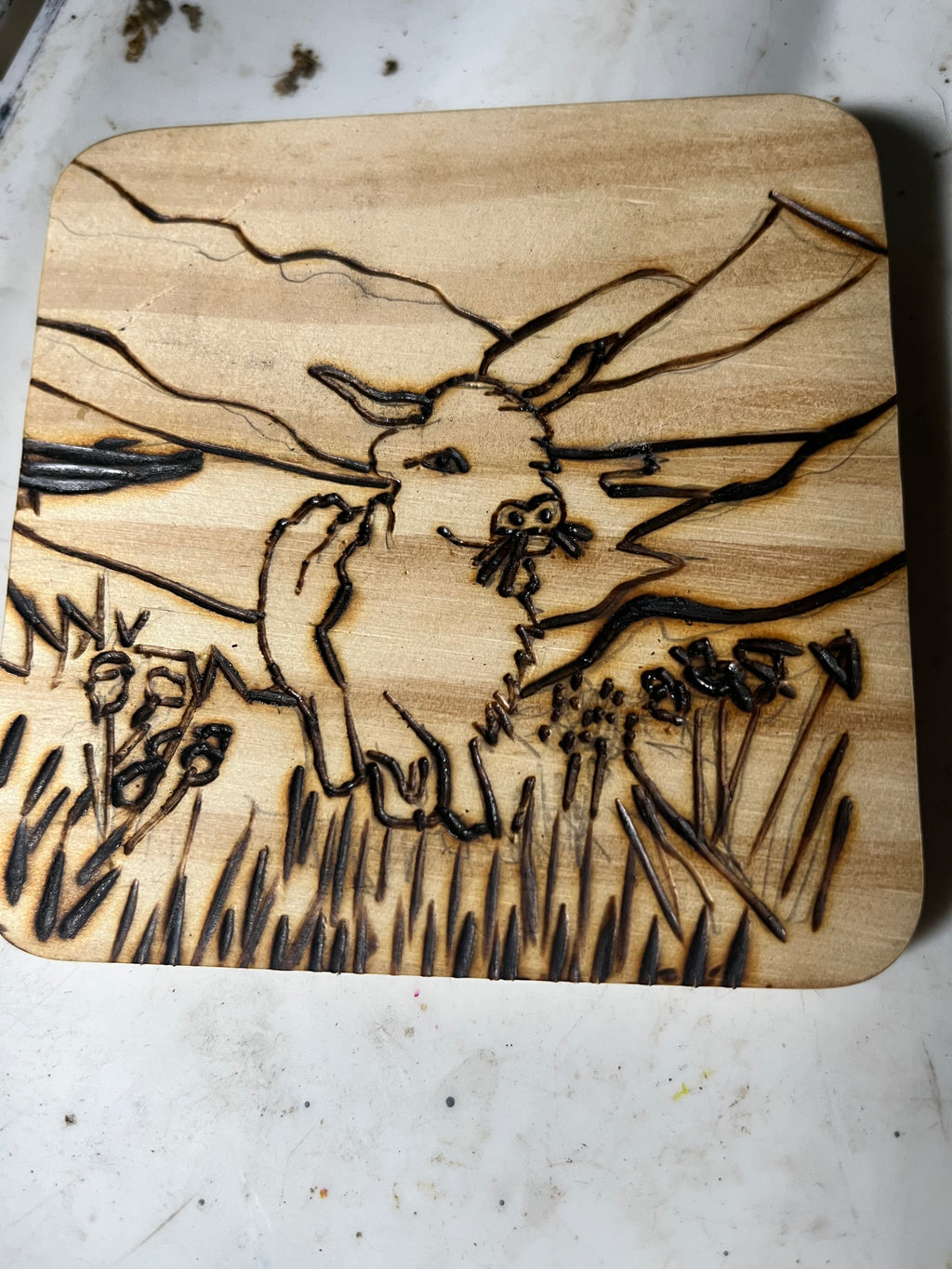 Hand-Burned Wooden Coasters | Original Pyrography Art